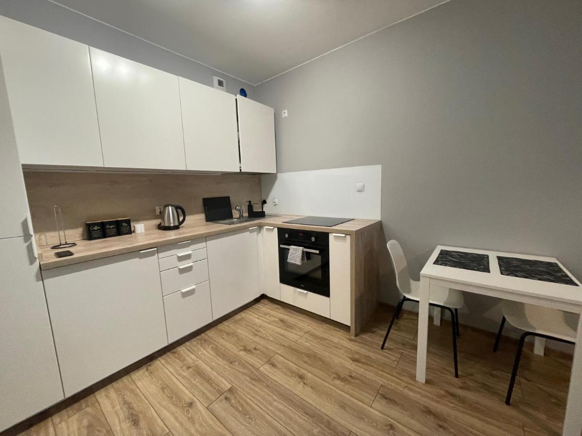 Apartment Vip Witolda Rzeszow